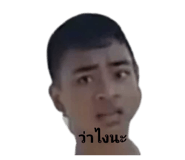 421575231