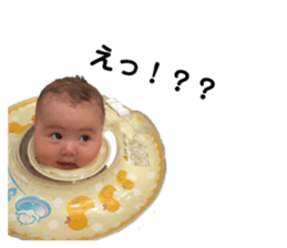421646838