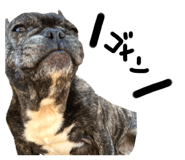 421660675