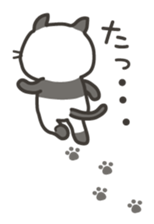 4216767
