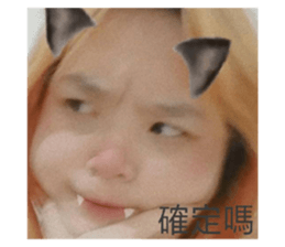 421677763