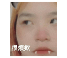 421677774