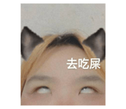 421677775
