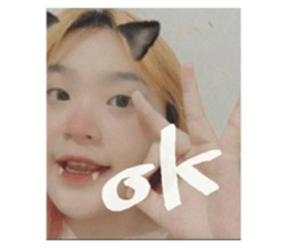 421677781