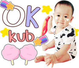 421811856