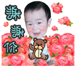 42182733