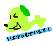 421896808
