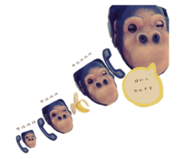 421961174