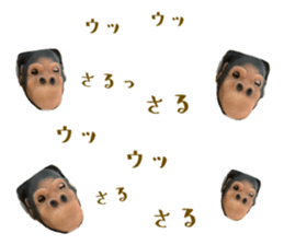 421961175