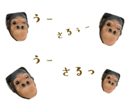 421961176