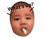 42220670