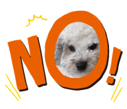 422267409