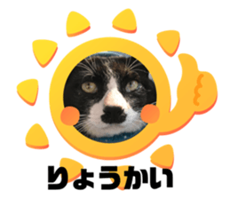 422279101