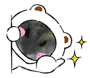 422283268