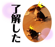 422290621
