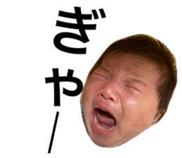 422306165