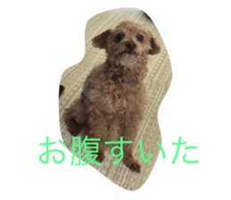 422316231