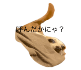 422317170