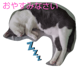 422357294