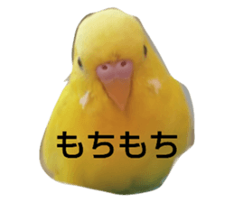 422398451