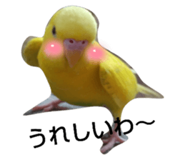 422401904