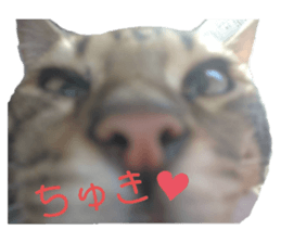 422407735