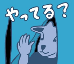 422446572