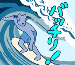 422446580
