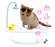 422449461