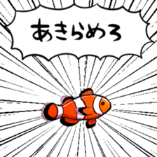 422455169