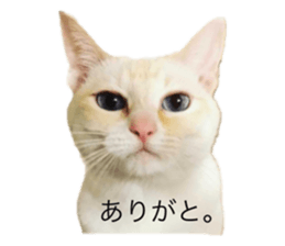 422592588