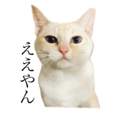 422592590