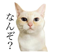 422592591