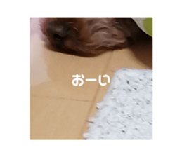 422633987