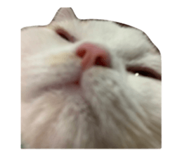 422674564