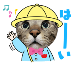 422688307