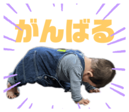 422928806