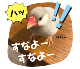 422936531