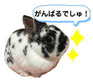 422953507