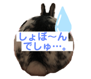 422953510