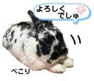422953521