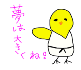 4229956