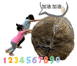 423002747
