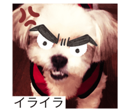 423004595