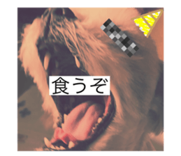 423004609