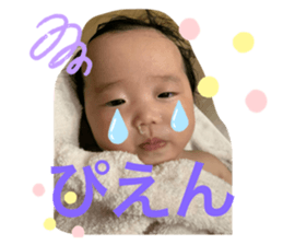 423033900
