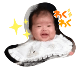 423036481