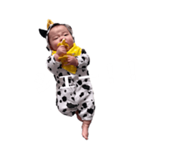 423043782