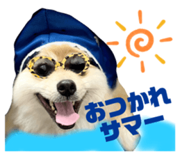 423088041