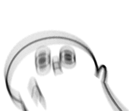 423112236